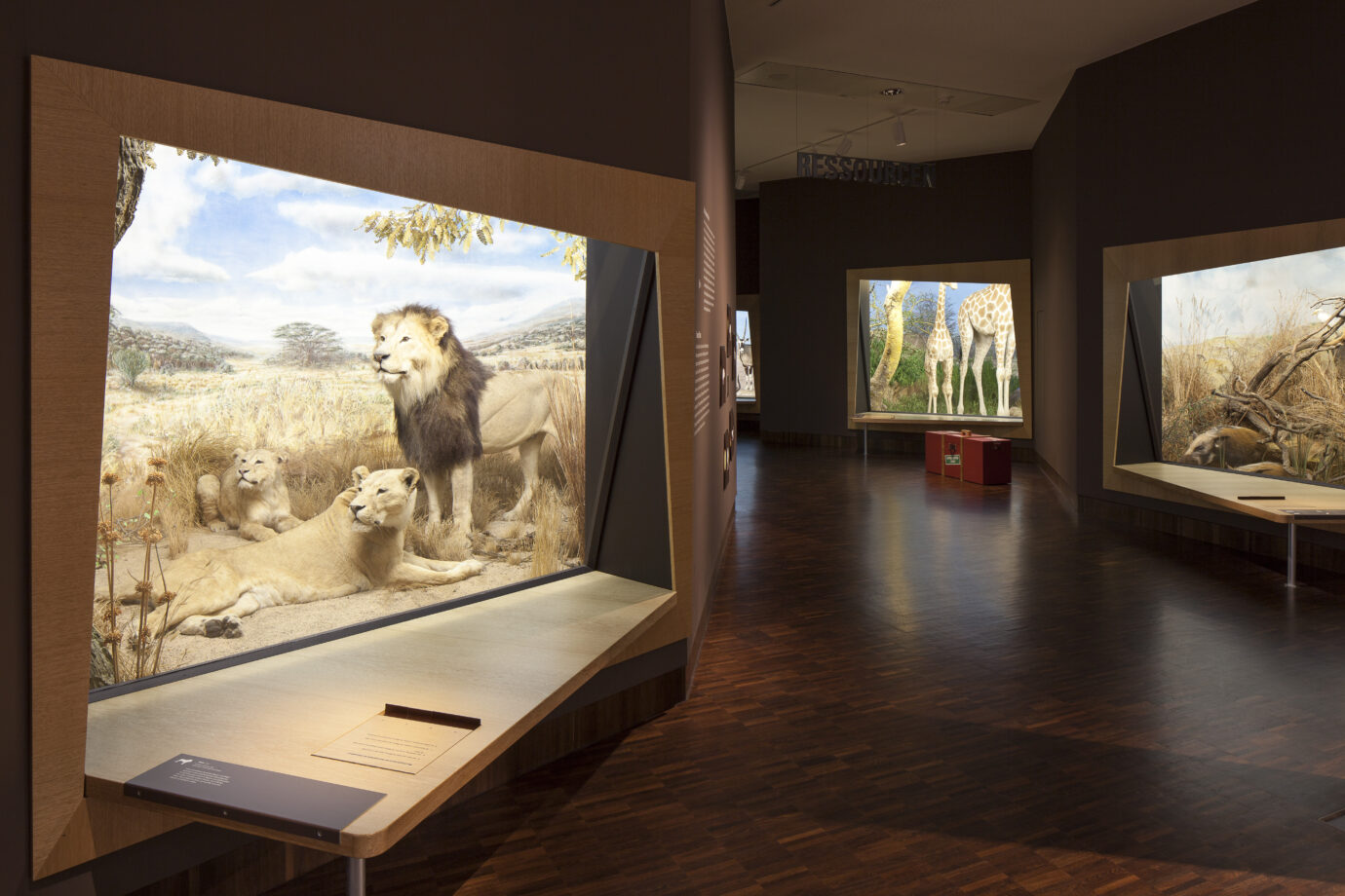 Überseemuseum Bild 8